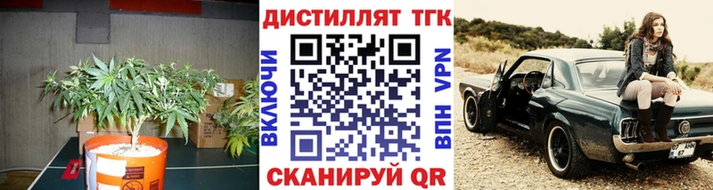 Дистиллят ТГК концентрат  Купить  Обь 